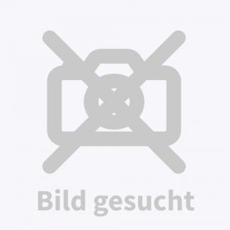 Gemeiner Sonnenbarsch
